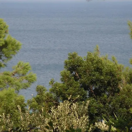 014 I Gerani Vila Procchio (Isola d'Elba)